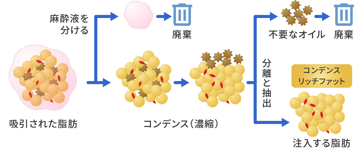 不純物・水分・老化細胞を取り除くから定着率が高い