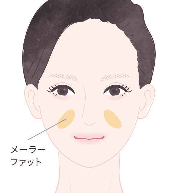 メーラーファットとは