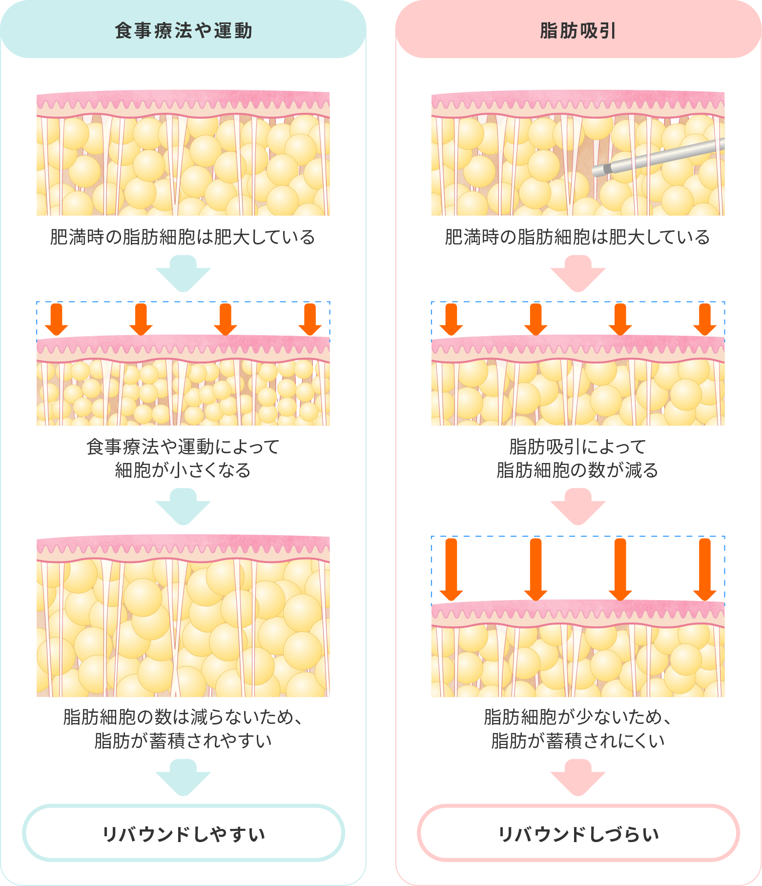 リバウンドイメージ